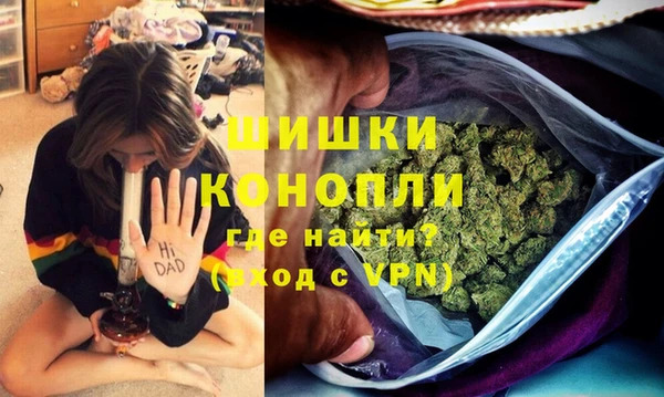 хмурый Абаза