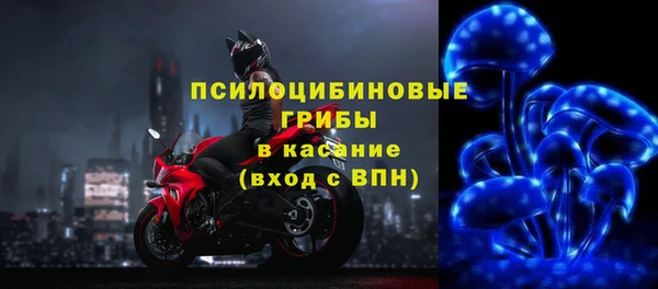 хмурый Абаза