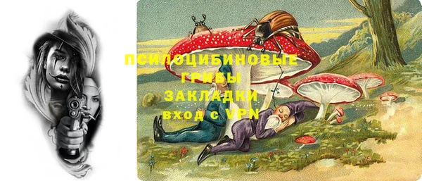 хмурый Абаза