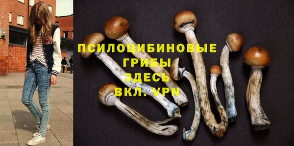 гидропоника Абдулино