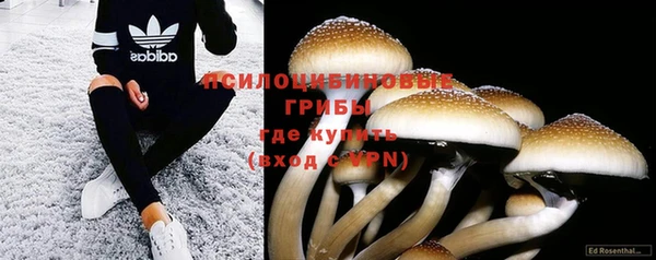 гидропоника Абдулино
