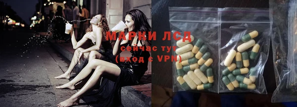 хмурый Абаза