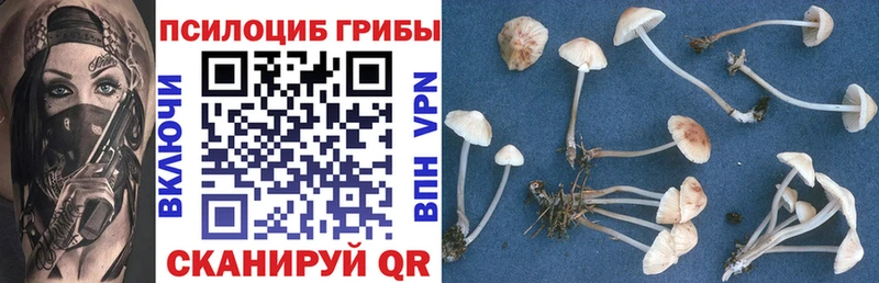 магазин продажи mega ССЫЛКА Галлюциногенные грибы мухоморы Жердевка